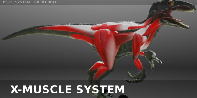 _images/x-muscle.jpg