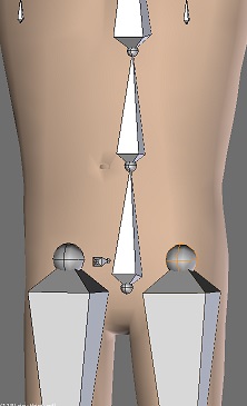 _images/belly.jpg