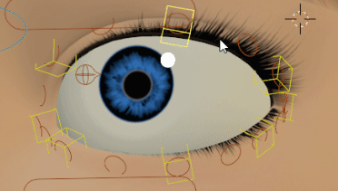 _images/eyelids_masters2.gif