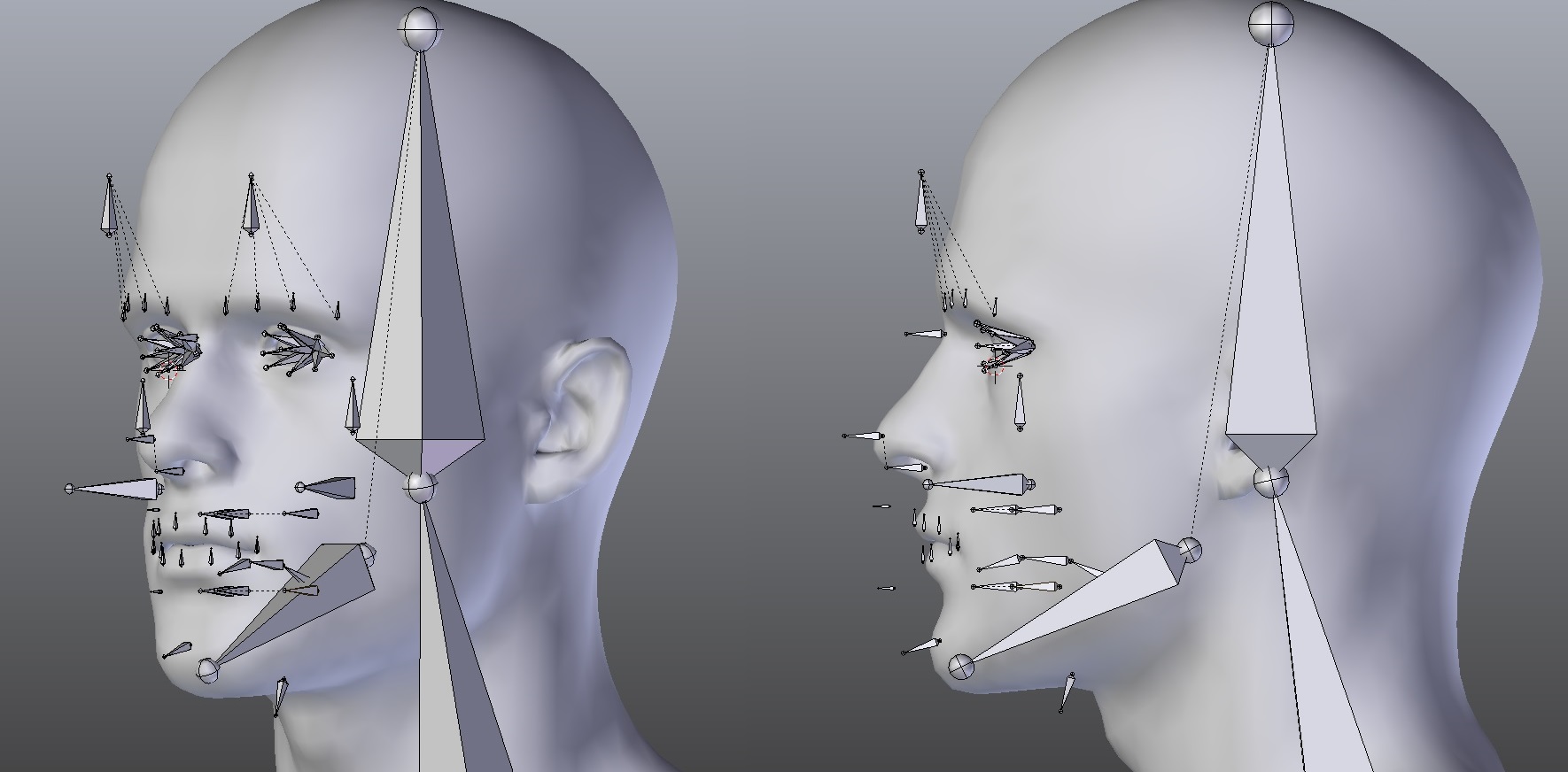 _images/facial_v2.jpg