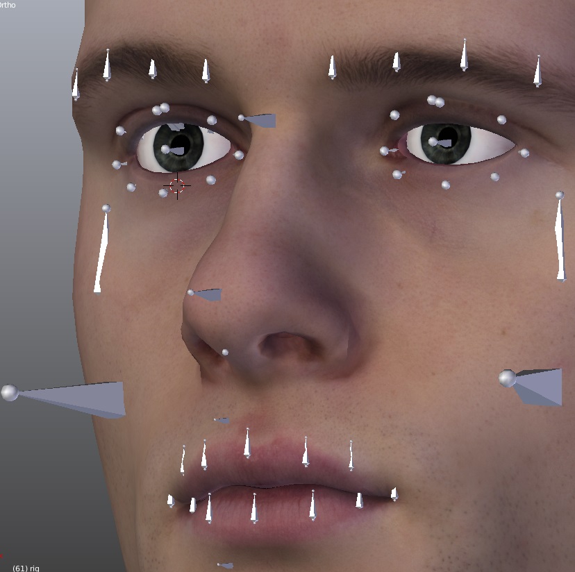 _images/facial_v3.jpg