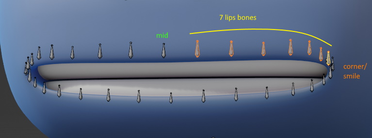 _images/lips_bones_amount.jpg