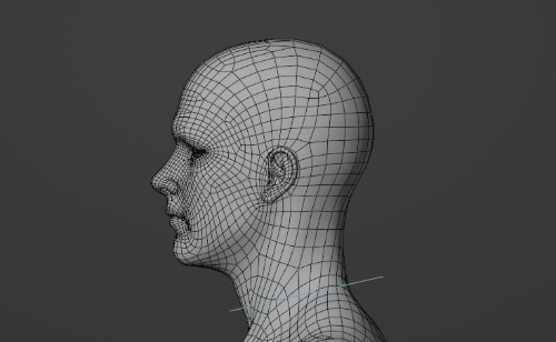 _images/refine_head_weights_after.gif