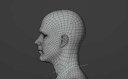 _images/refine_head_weights_before.gif