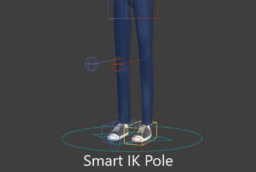 _images/smart_ik_pole.gif