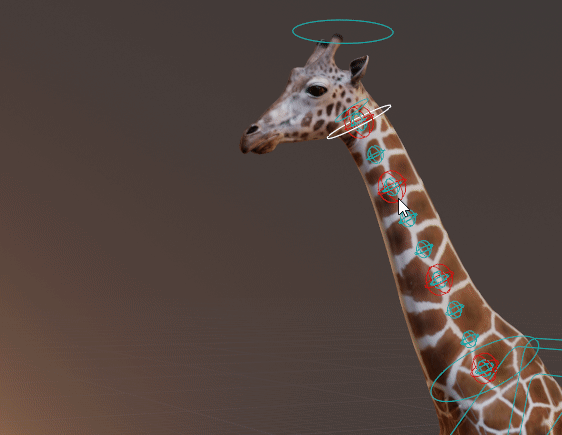 _images/spline_twist.gif